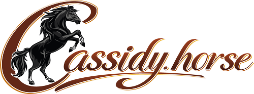 Cassidy.horse - ruční výroba masek pro koně na míru