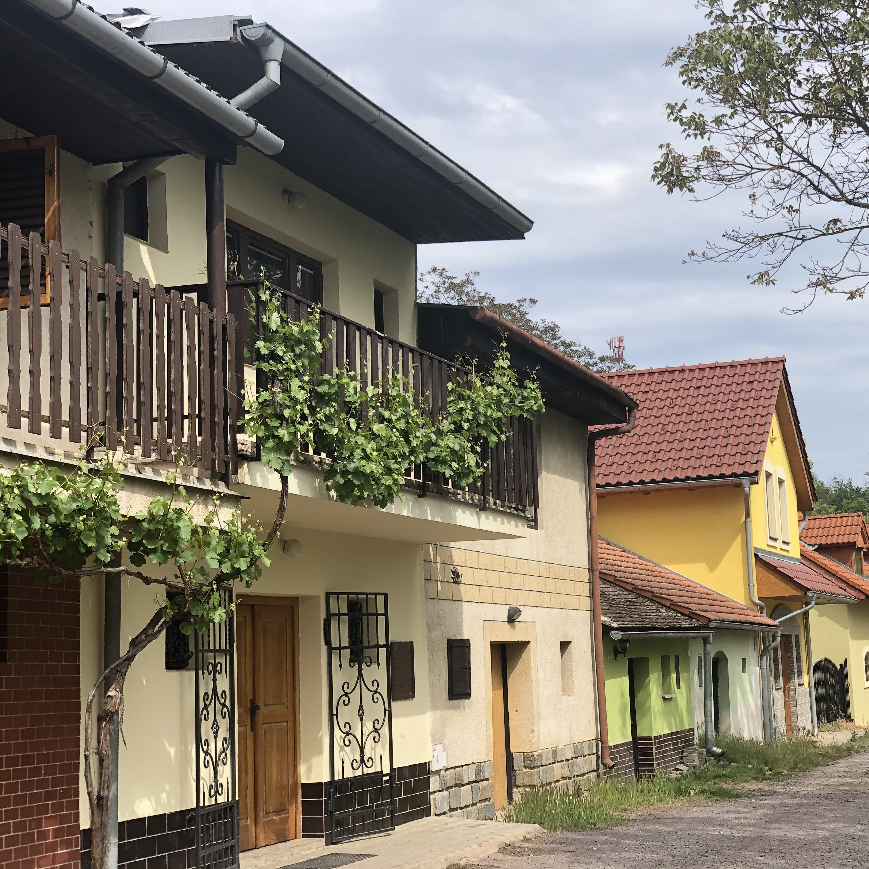 Vinařství Žiška - Znojmo, Jaroslavice